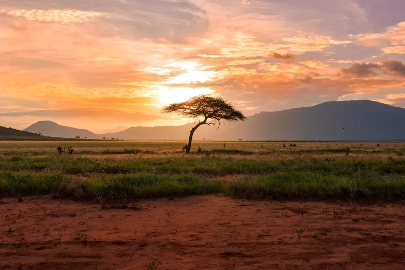 Paysage du Fouta Djallon en Guinée, hauts plateaux et végétation tropicale