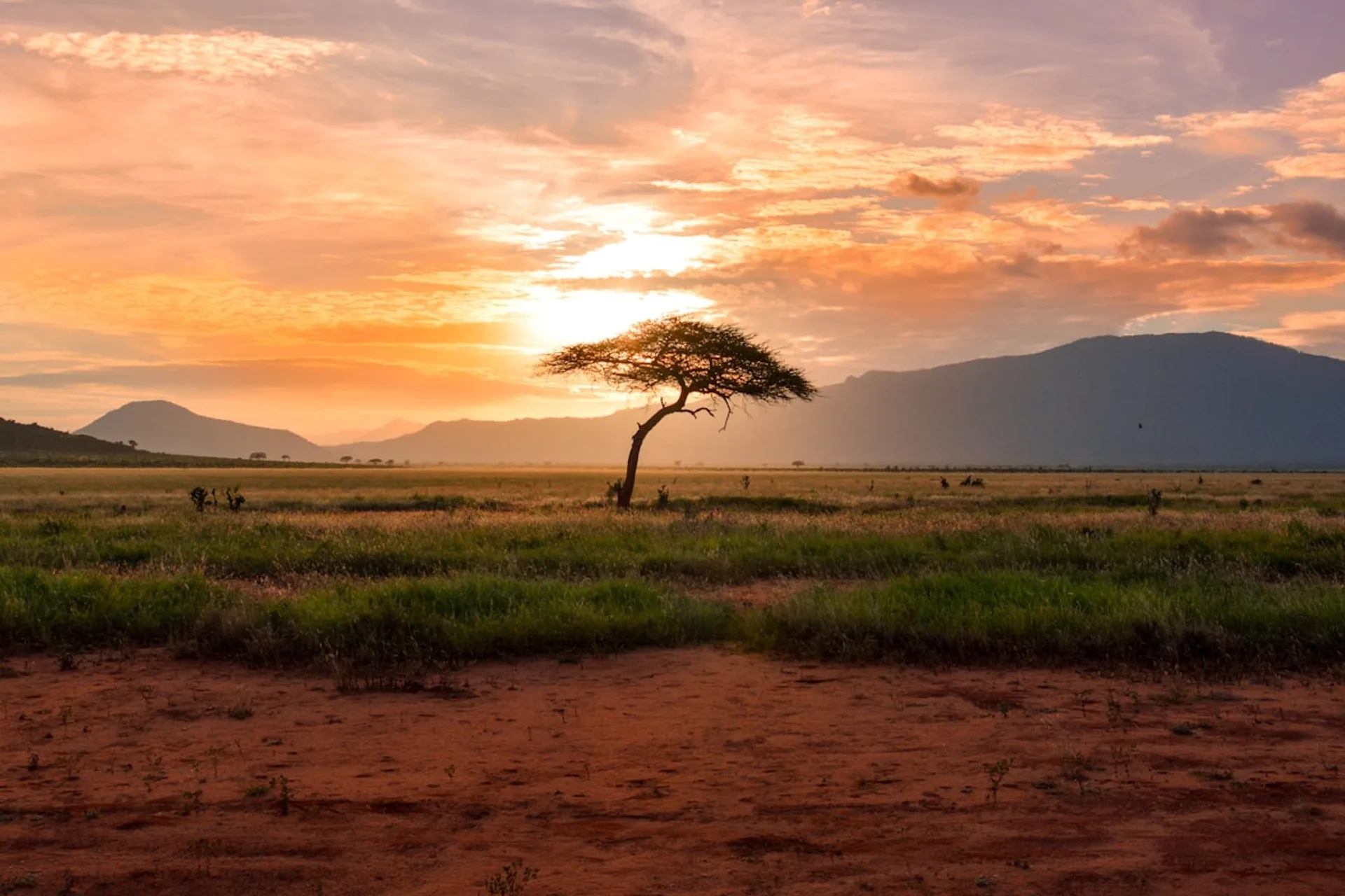 Paysage du Fouta Djallon en Guinée, hauts plateaux et végétation tropicale