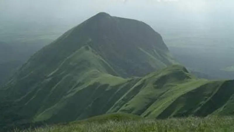 Mont Nimba, montagne classée UNESCO en Guinée forestière